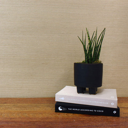 Sisal Monochromatic Grasscloth Wallpaper - Natural