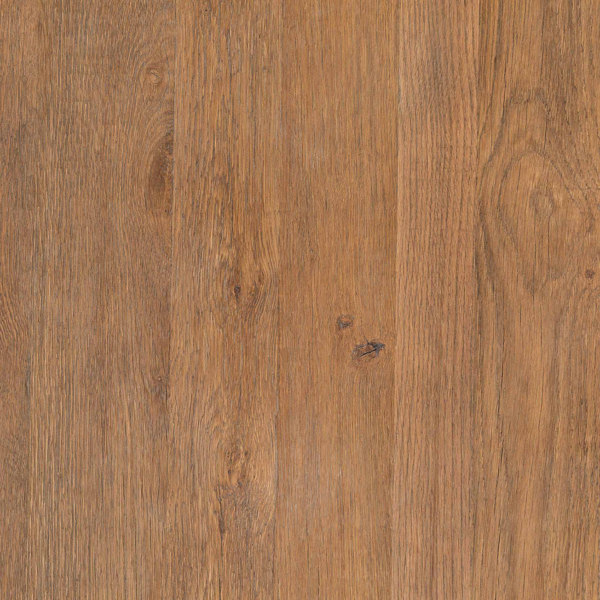 Sparrow Coffee Table - Washed Old Oak Veneer Thick