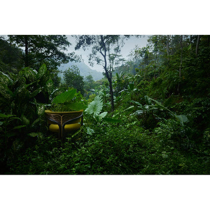 Volita Dining Chair - Green Velvet, Bronze, Dark Brown Teak Frame