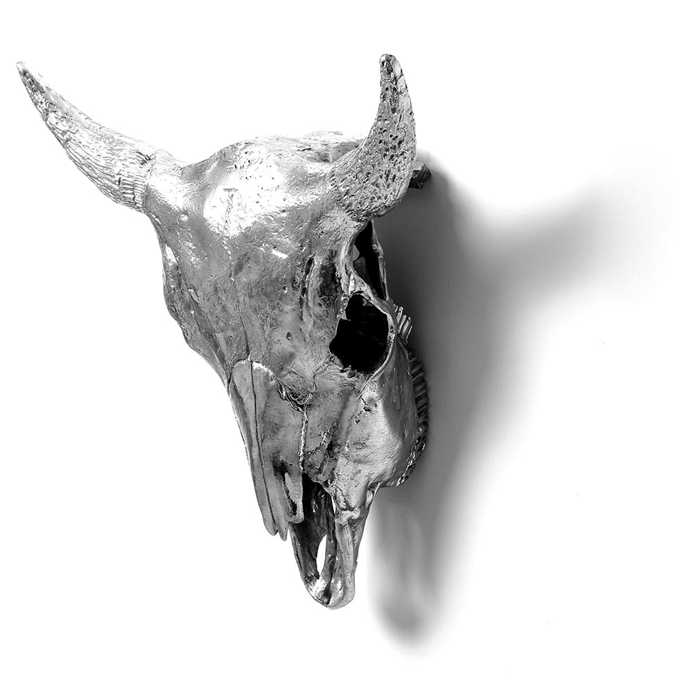 Wunderkammer Bison Skull
