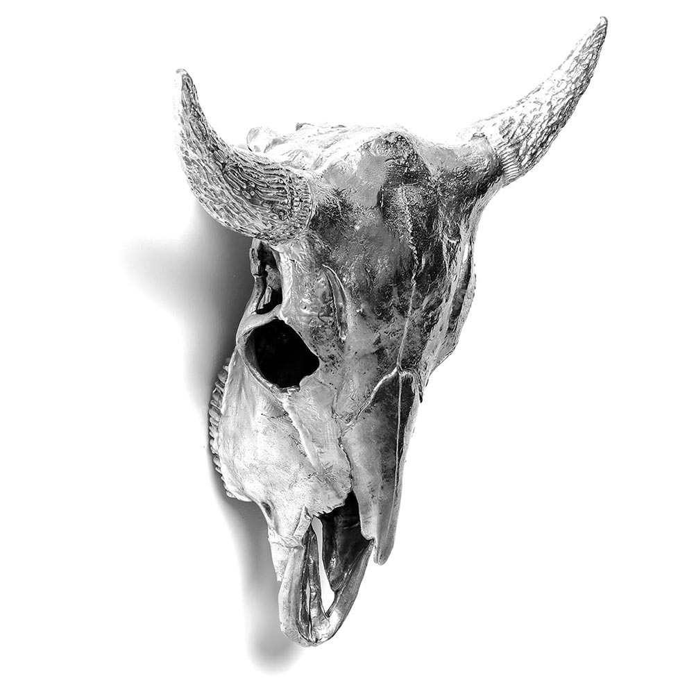 Wunderkammer Bison Skull